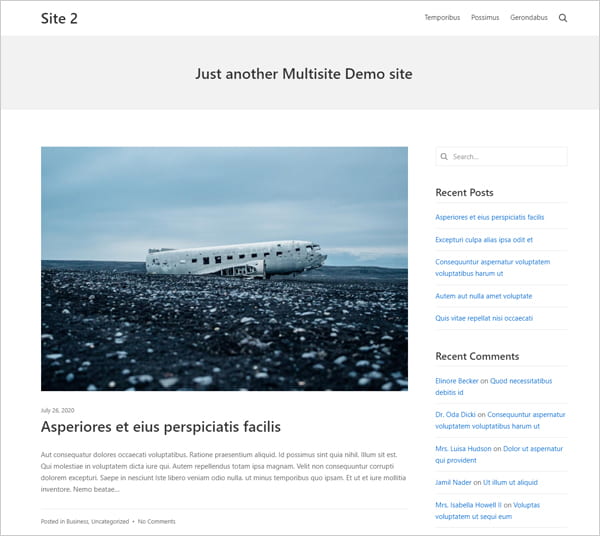 WordPress subsitedemo frontend.