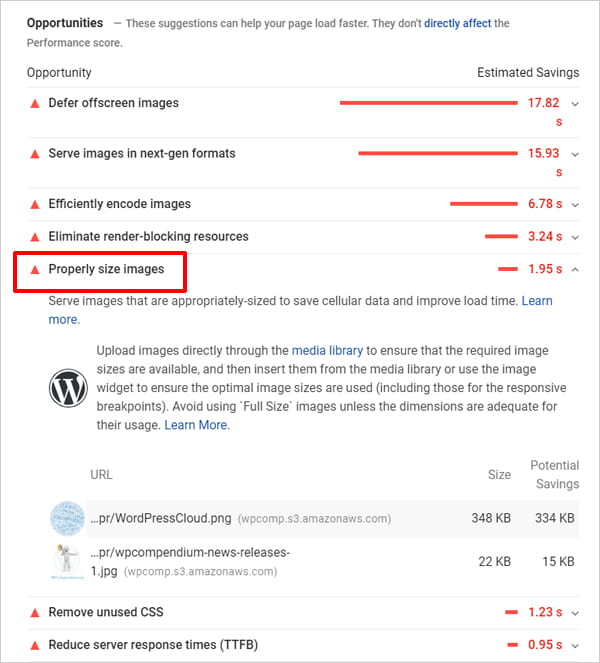 Screenshot of Google Pagespeed Insights