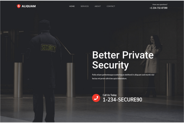 Security Services