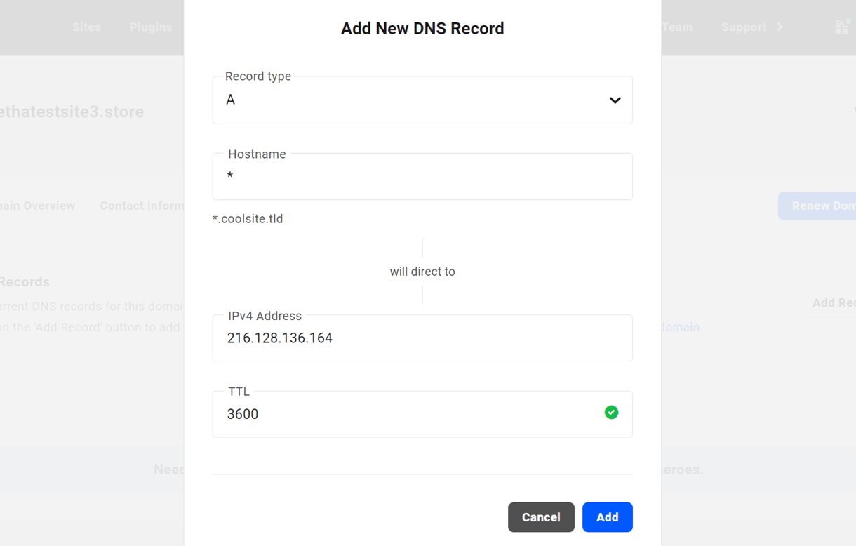 add new a dns record