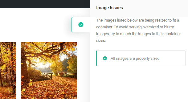 all images properly sized note