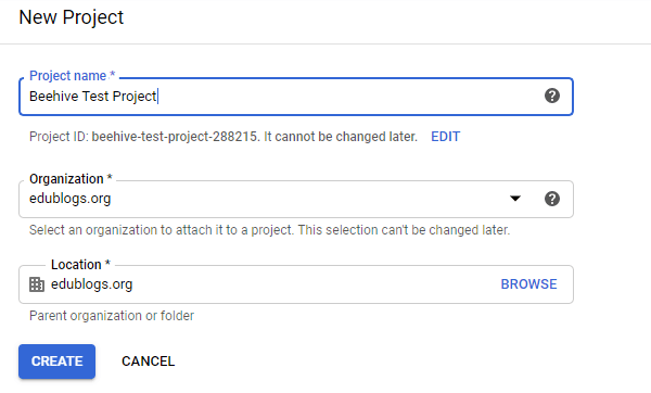 Screenshot of the first step of the API Project where you input your project name and organization.