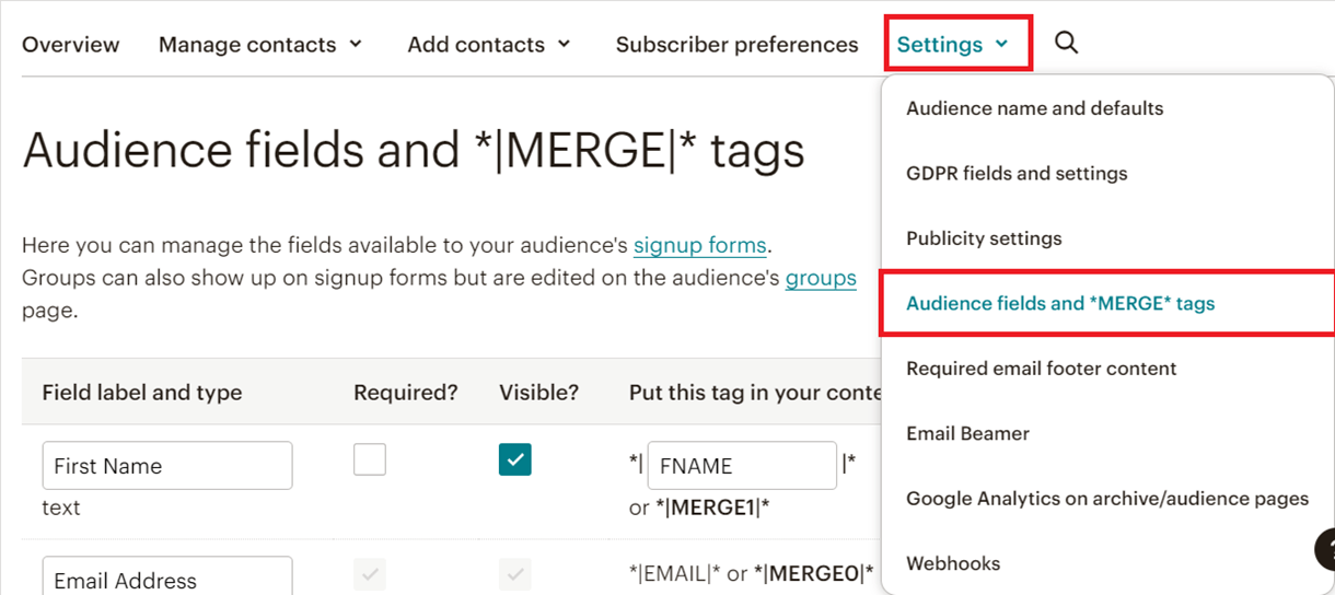 audience fields merge tags