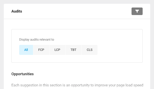 Filter by audit type