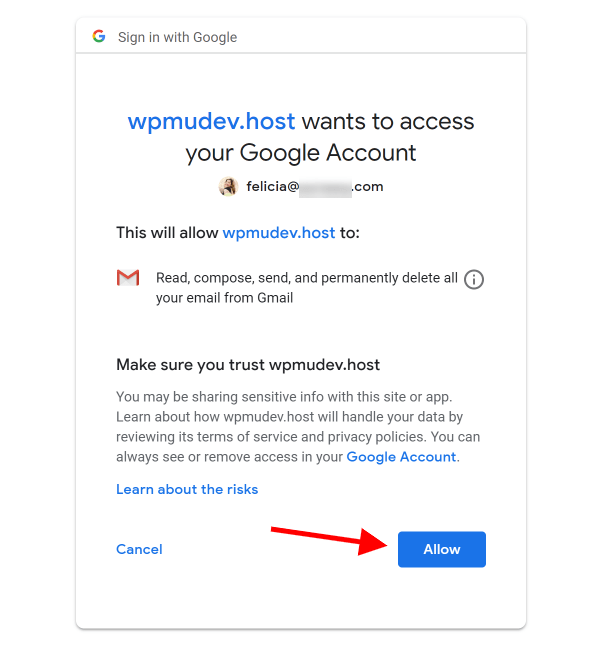 Screenshot of Gmail Authorization