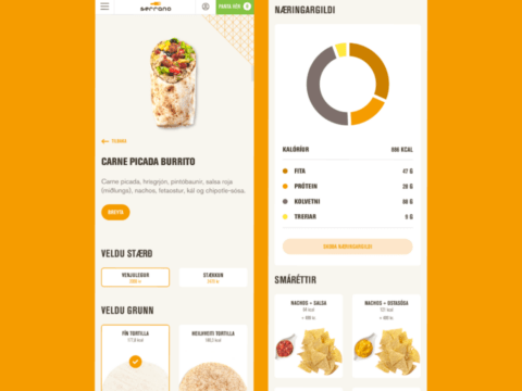 avista-digital-site2