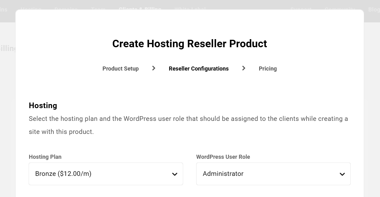 Plan and role options of a hosting reseller product in the Hub
