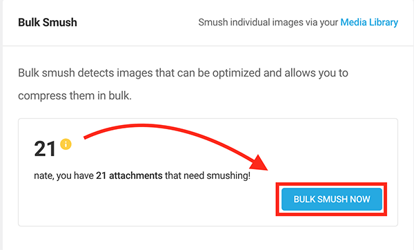 The bulk smush button.