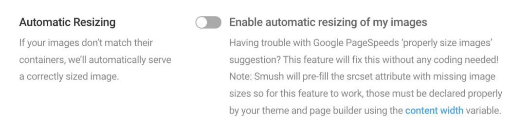 Screenshot of the automatic resizing option.