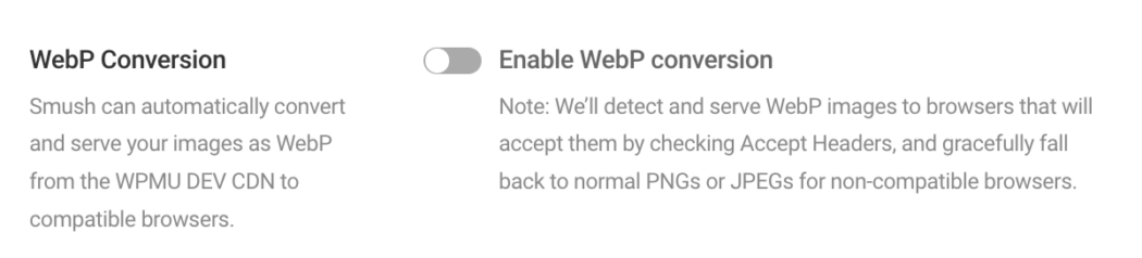 Screenshot of the webp conversion button.