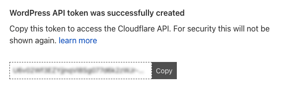 Copy Cloudflare API token