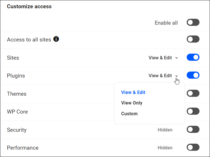 The Hub - Roles - Custom Roles - Configuration Options.