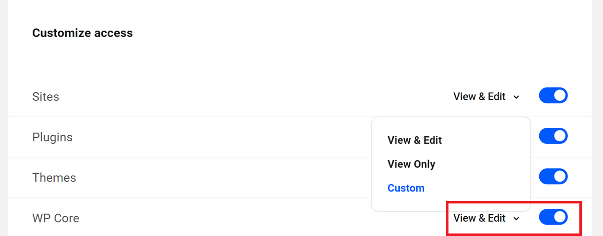Customize access in new client role in Client Billing