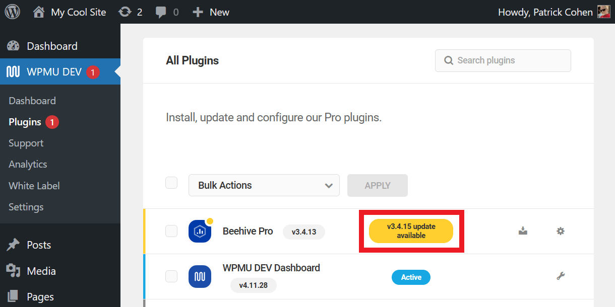 Plugin updates in WPMU DEV Dashboard