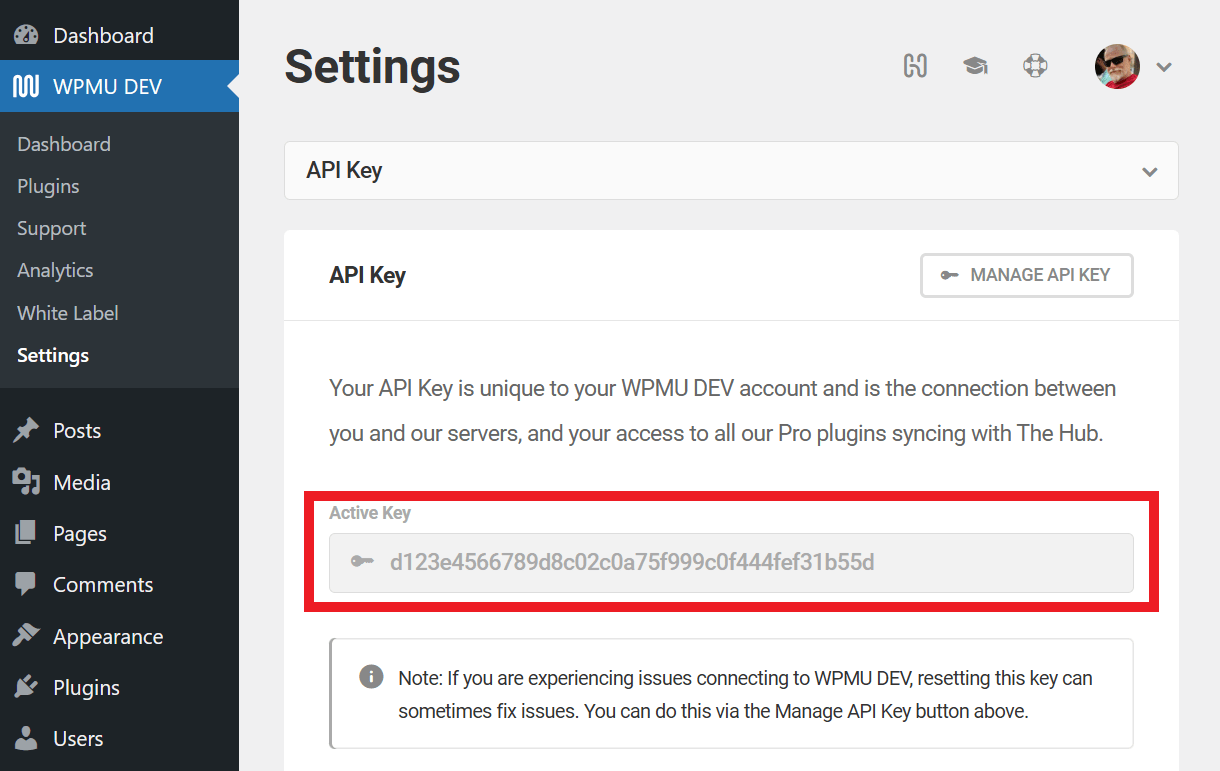 Locating your WPMU DEV API key