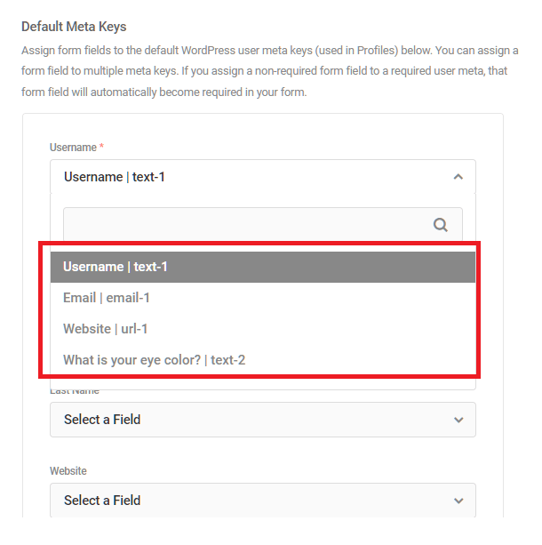 Map form fields to user profile meta in Forminator registration form