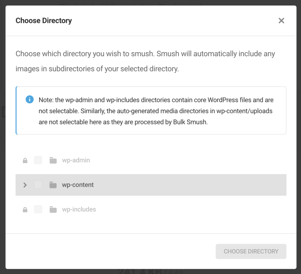 A look at how Smush enables you to scan directories.