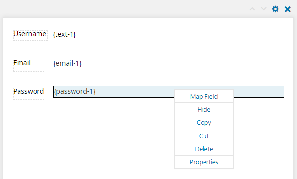 Field options in E2Pdf