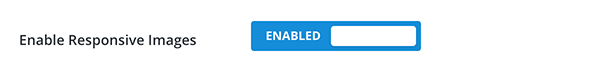 Where you enable responsive images.