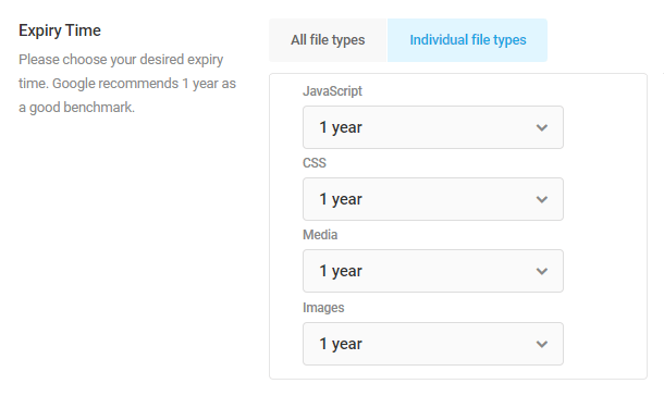 Hummingbird expiry by file type