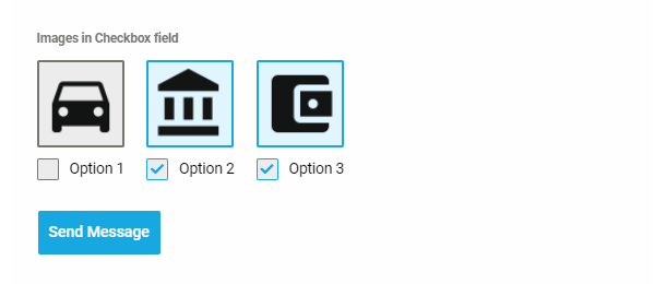 Example of images in checkbox fields