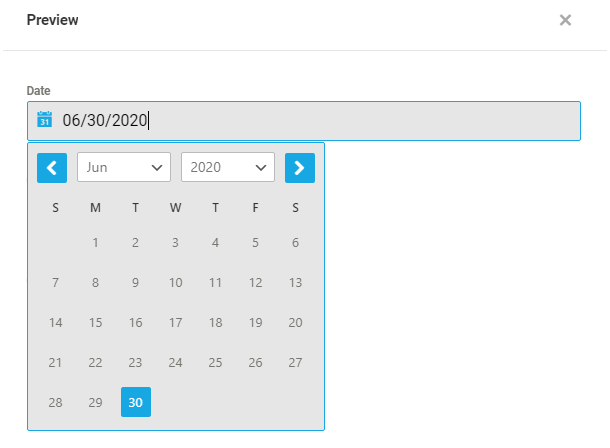 Default calendar format in a Forminator Datepicker field