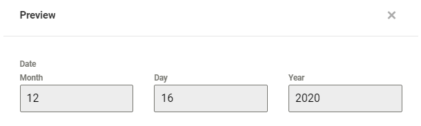 Text Input format in a Forminator Datepicker field