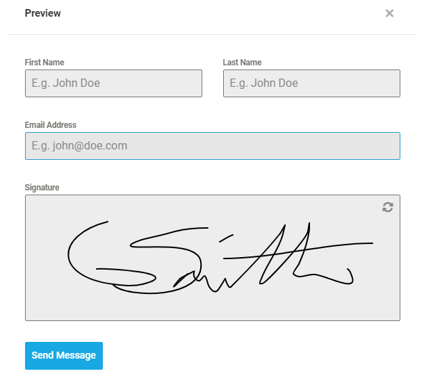 Preview of E-Signature field in a Forminator form