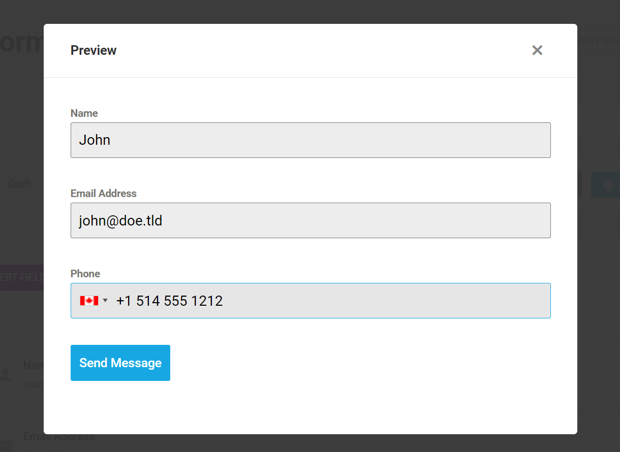 Preview selected Phone number format in Forminator