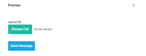 Preview of single file Forminator File Upload field