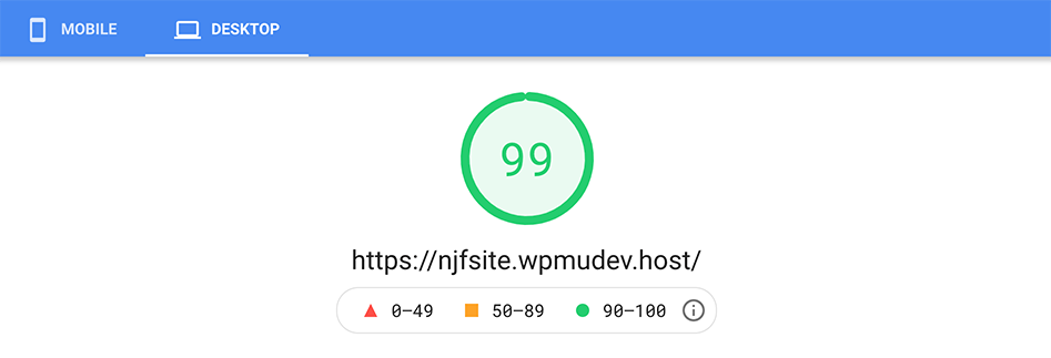 Google pagespeed insight score of 99