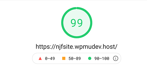 2nd google pagespeed insights score.