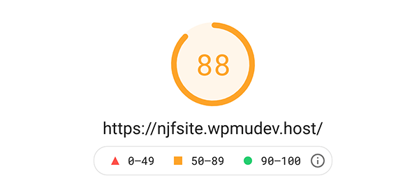 First google pagespeed insights score.