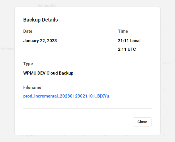 Hosting backup details