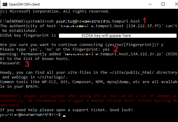 SSH Shell open