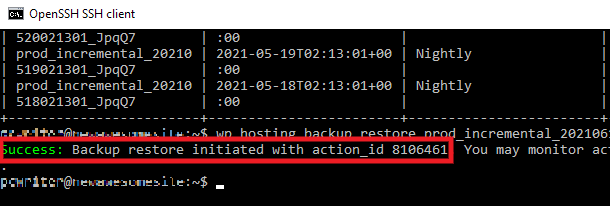 Backups restore success