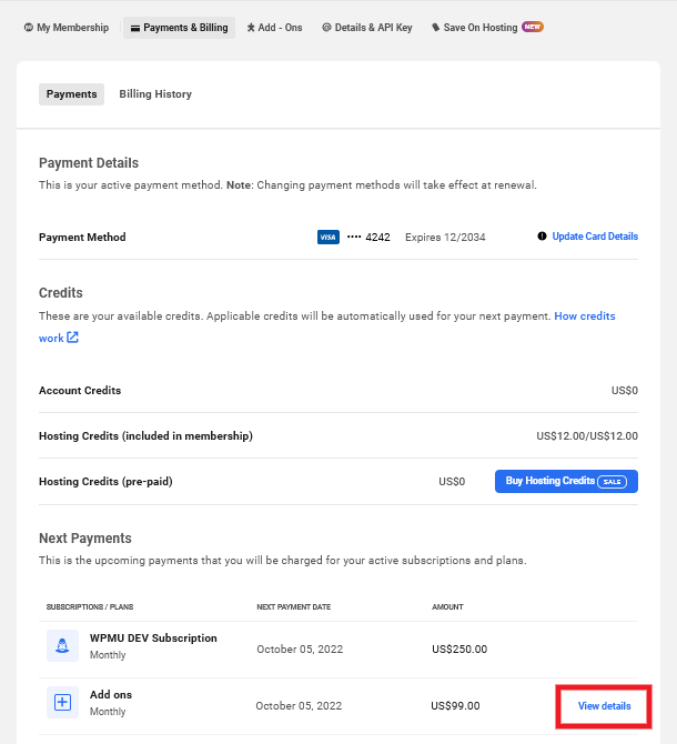 View add-on details in your WPMU DEV account