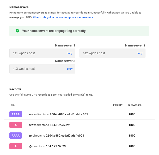 Allows the team member view-only access to DNS records of connected domains