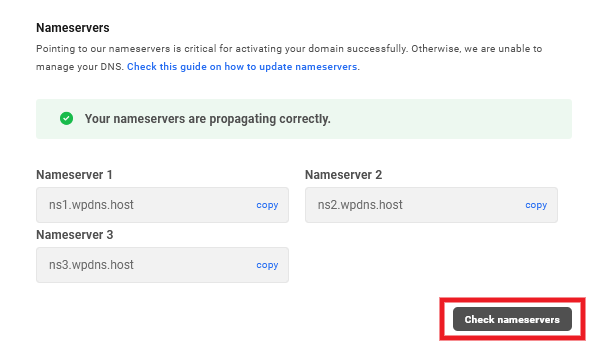 Allows the team member to check the nameserver setup for connected domains