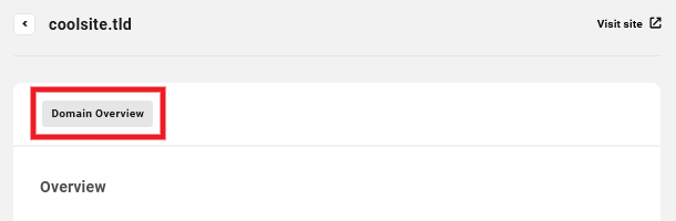 Allows the team member access to the Overview tab of registered domains