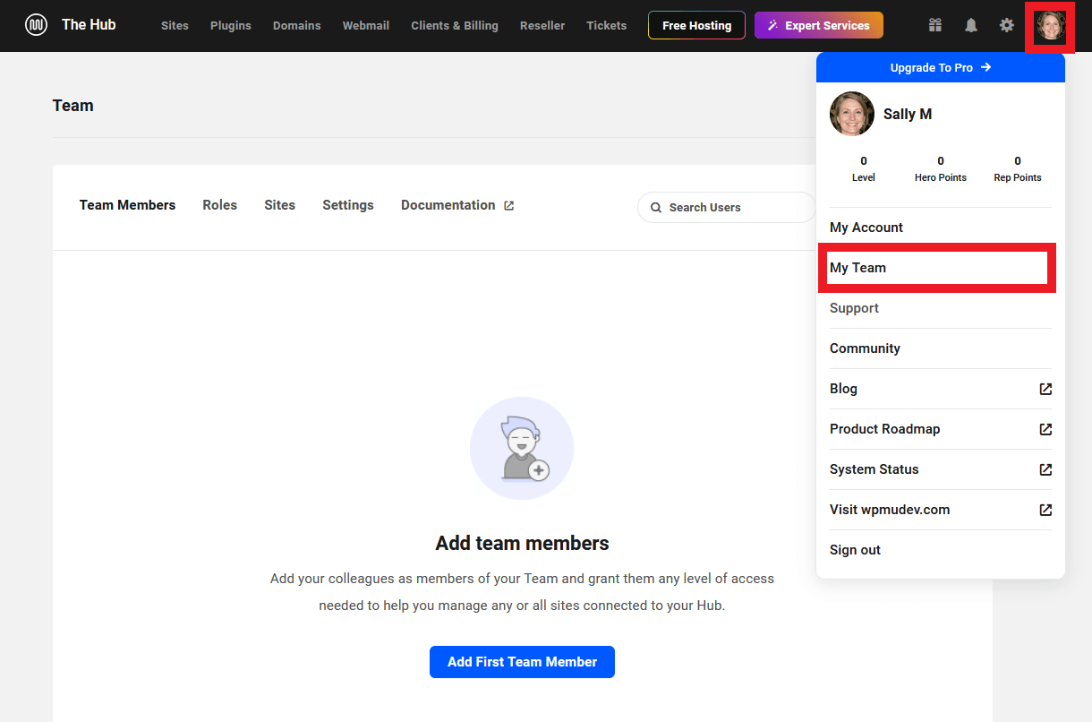 Add a team member in the Hub