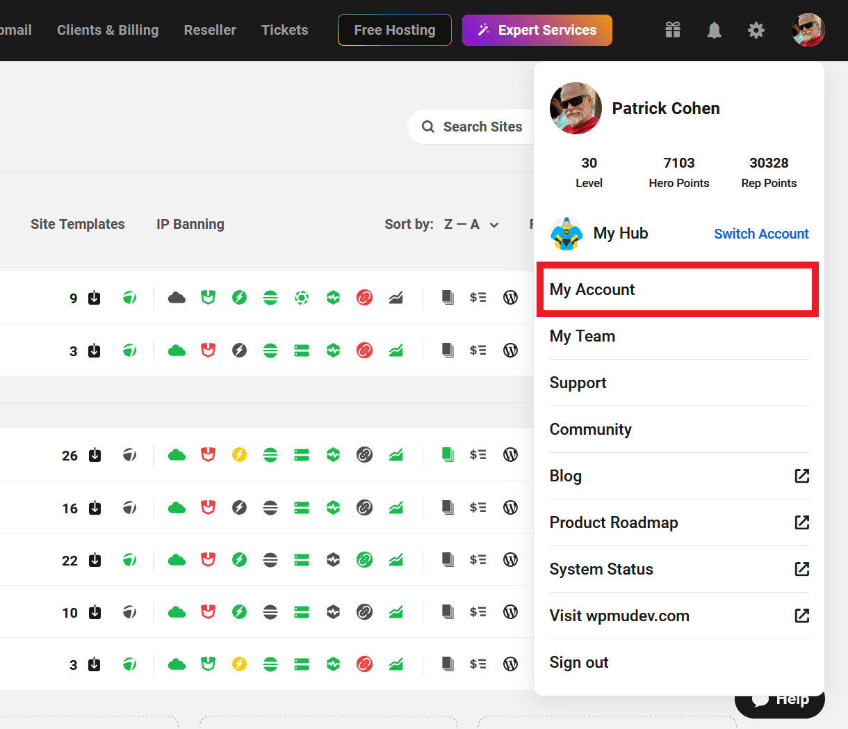 Link to your WPMU DEV account