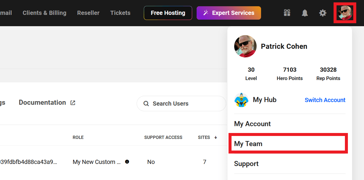 Accessing the Team feature in the the Hub