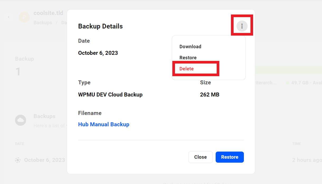 Allows the user to delete an existing backup of a site