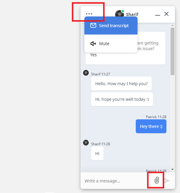 WPMU DEV live chat options