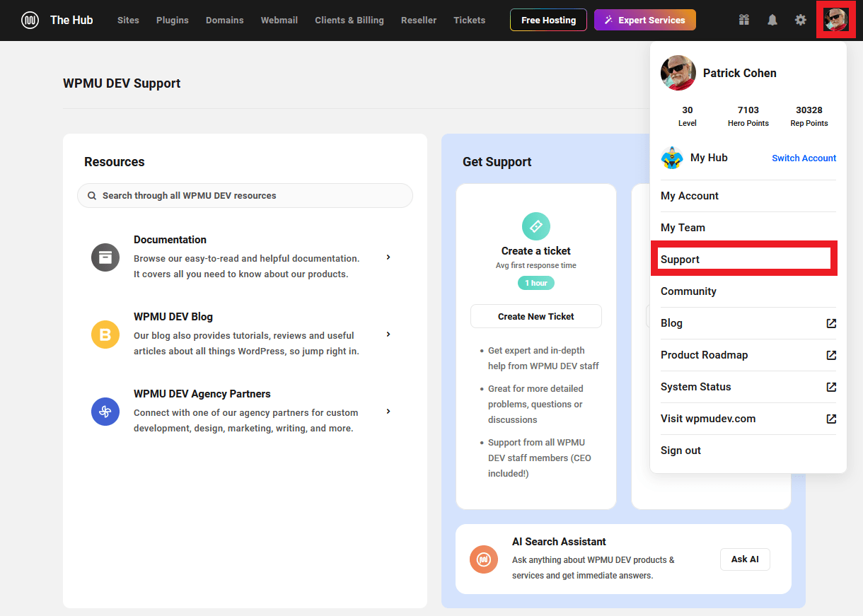 Get WPMU DEV support in the Hub