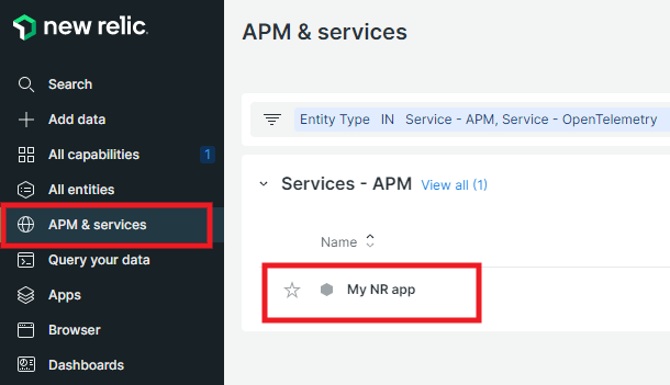View app in New Relic account