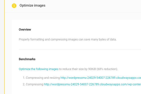 Hummingbird optimize images