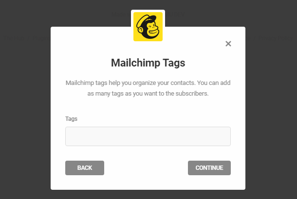 Add Mailchimp tags in Hustle opt-in module