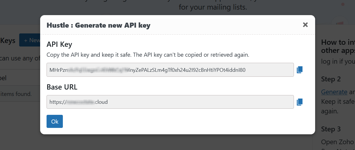 Copy API Key and Base URL
